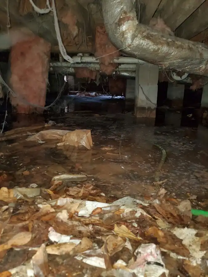 Crawl space flood assessment for Leak Detection & Repair in Fishersville